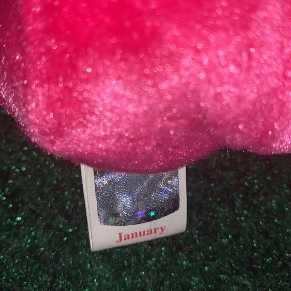 JANUARY Birthday Month beanie babies collection - Picture 4 of 4